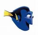 Un poisson amnésique